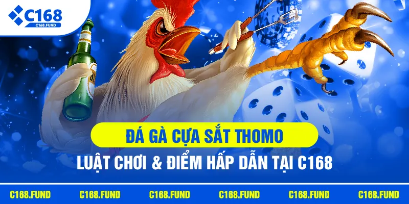 Đá Gà Cựa Sắt Thomo Hấp Dẫn Với Những Trận Đấu Kịch Tính 2026 2 c168 da ga cua sat thomo luat choi diem hapdan